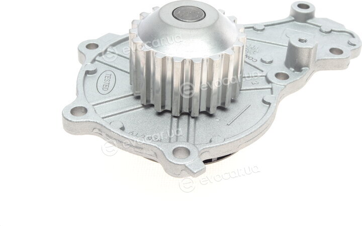 Continental CT1162WP5