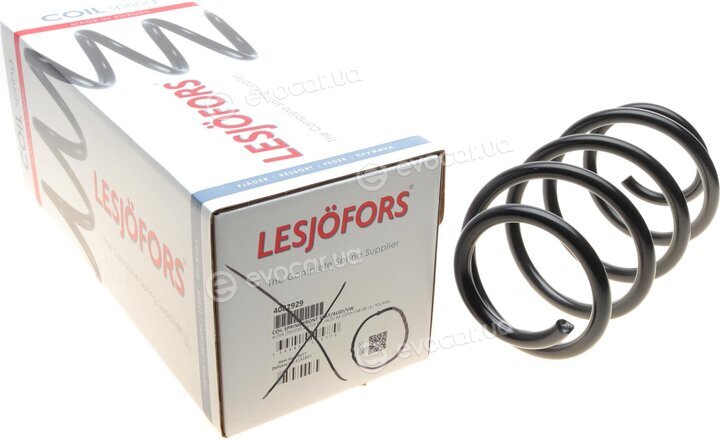 Lesjofors 4082929