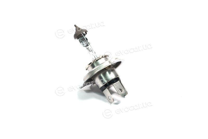 Bosch 1 987 302 441
