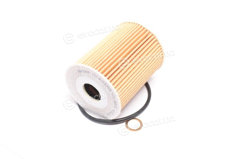 Ashika 10-ECO059