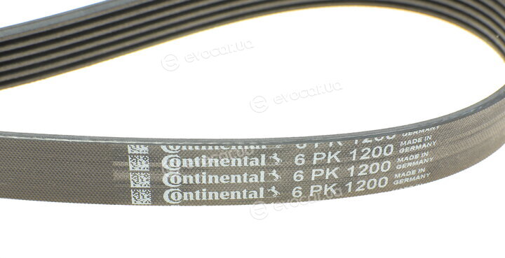 Continental 6PK1200K1