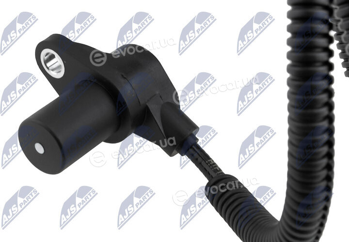NTY ECP-FT-004