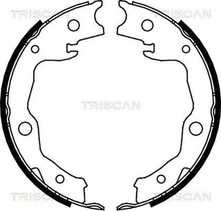Triscan 8100 13042