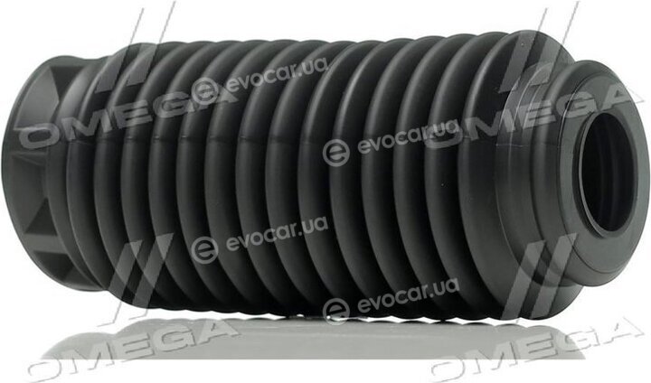Sasic 2650044