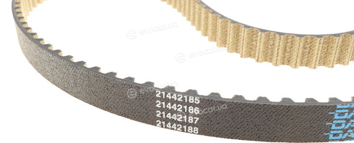 Dayco KBIO03