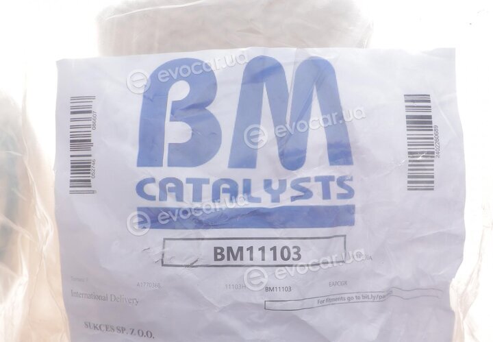 BM Catalysts BM11103