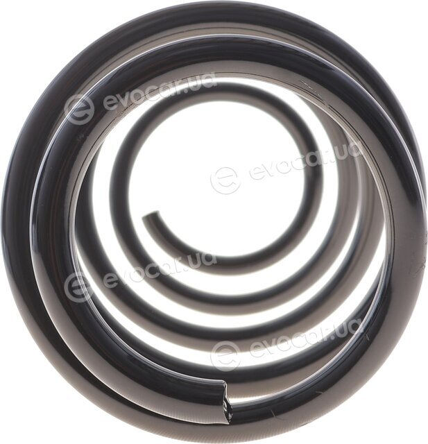 Solgy 212181