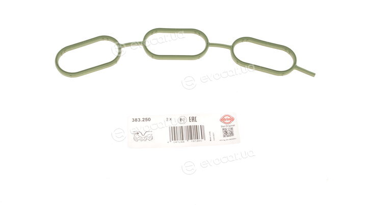 Elring 383.250