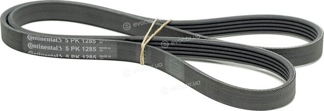 Continental 5PK1285
