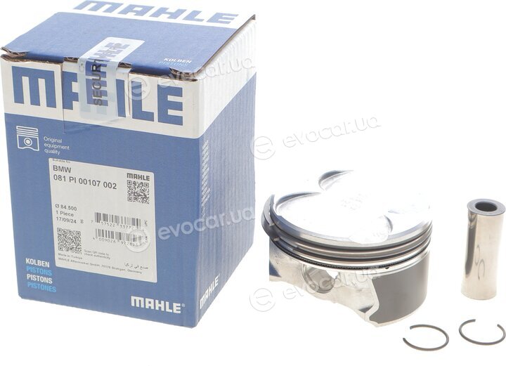 Mahle 081 PI 00107 002