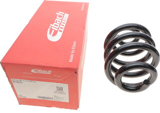 Eibach R10051