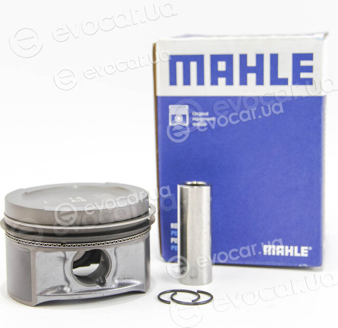 Mahle 033 01 00