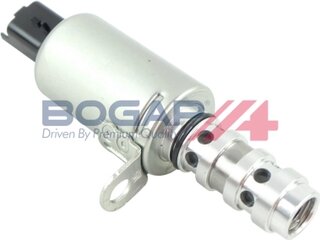 Bogap P1340100