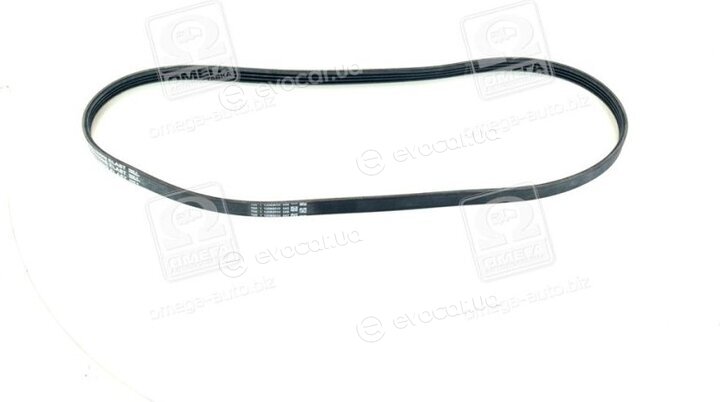 Continental 4PK1102 ELAST