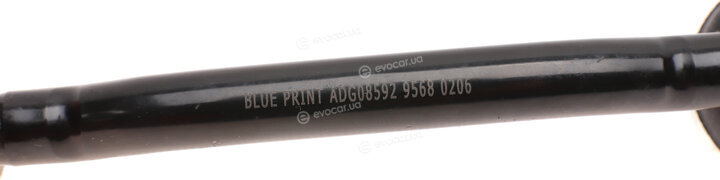 Blue Print ADG08592