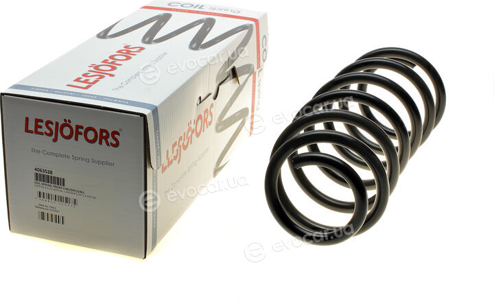 Lesjofors 4063528