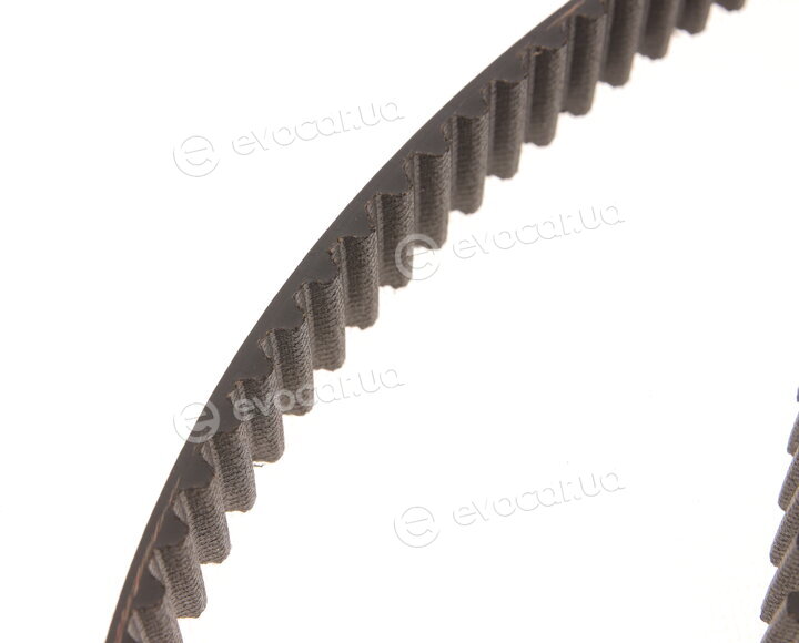 Gates K015491XS