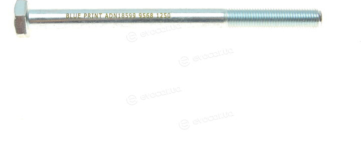 Blue Print ADN18599