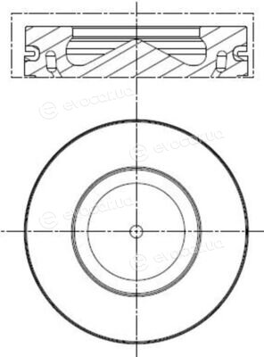 Mahle 081 PI 00113 000