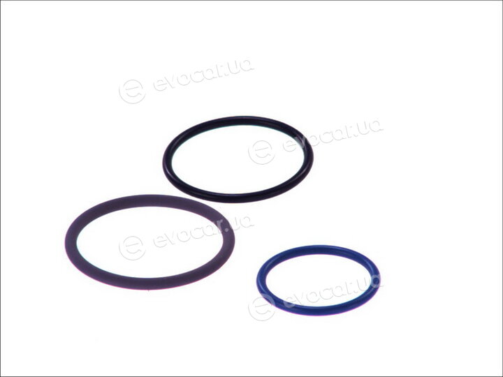 Bosch F 00V X99 999