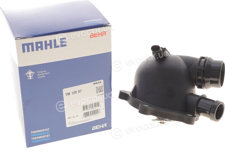 Mahle TM 120 97