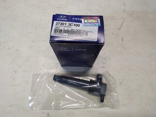 Kia / Hyundai 273013C100