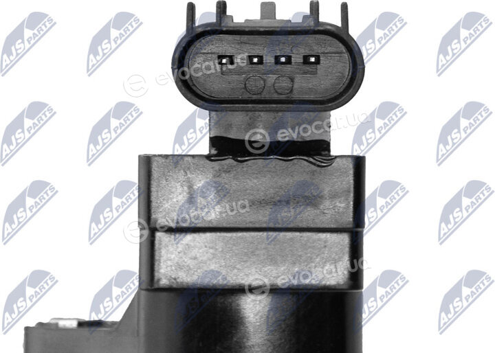 NTY ECZ-PL-010