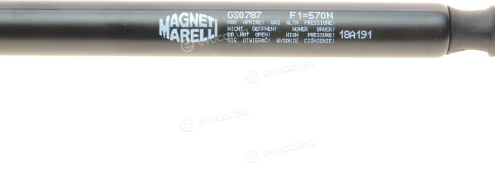 Magneti Marelli 430719078700