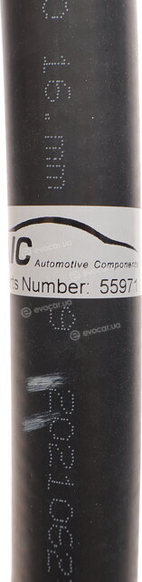 AIC 55971