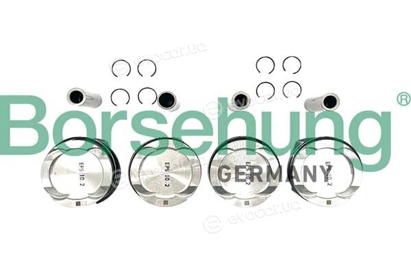 Borsehung B11136