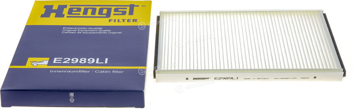 Hengst E2989LI