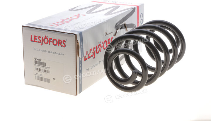 Lesjofors 4256858