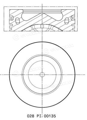 Mahle 028 PI 00135 002