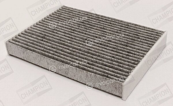 Champion CCF0490C