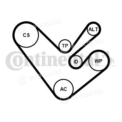 Continental 6PK1555K4