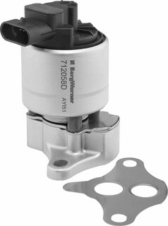 Wahler / BorgWarner 712058D