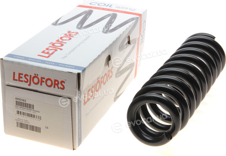 Lesjofors 4092583