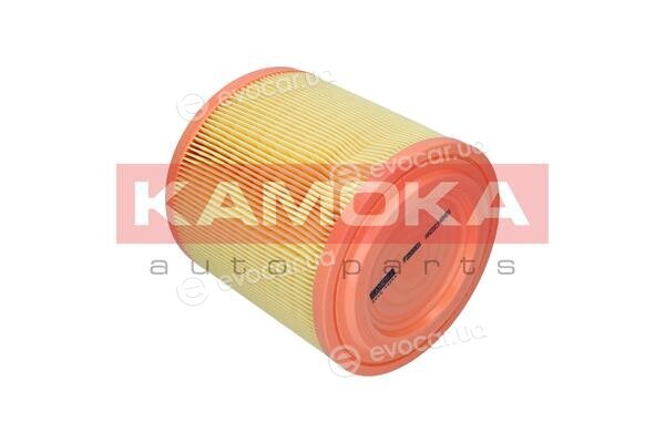 Kamoka F253301