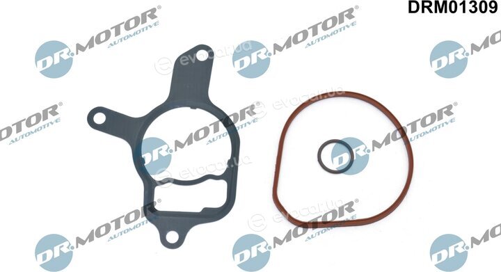 Dr. Motor DRM01309