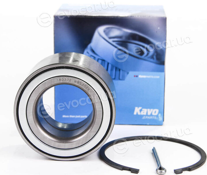 Kavo WBK-6506
