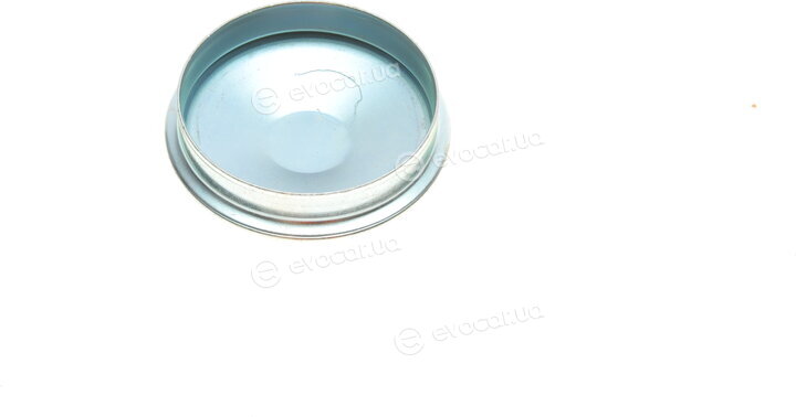 Delphi BG9026RS