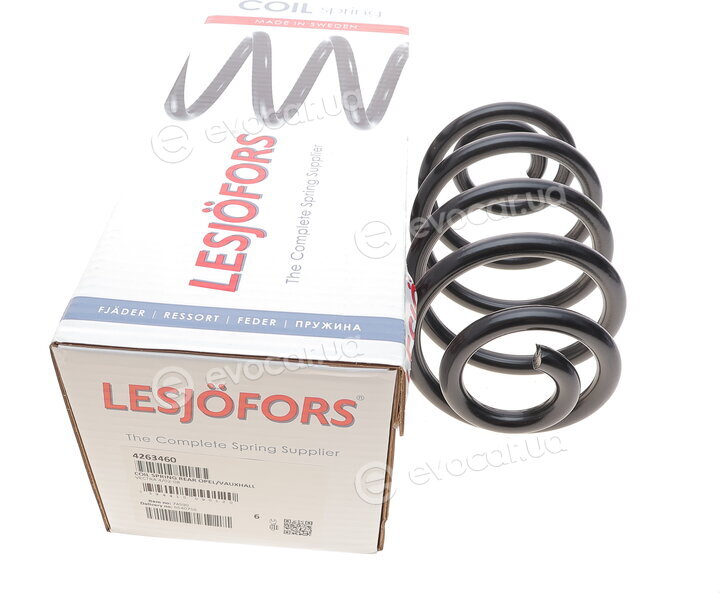 Lesjofors 4263460