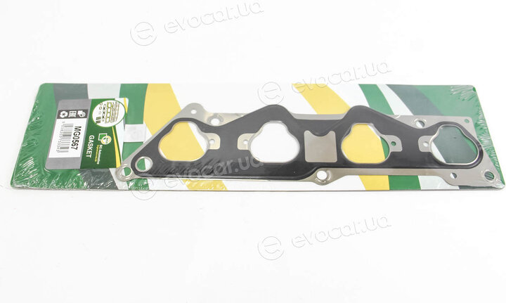 BGA MG0567