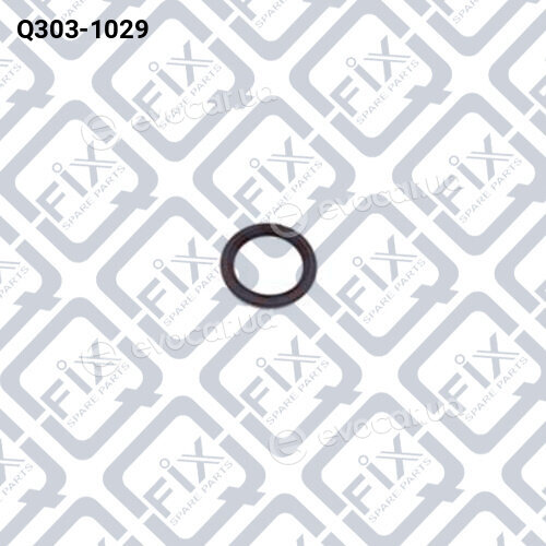 Q-Fix Q3031029