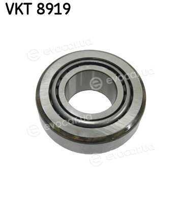 SKF VKT 8919