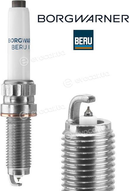 BorgWarner Z366
