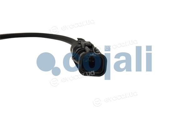 Cojali 2880267