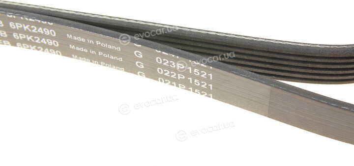 INA FB 6PK2490