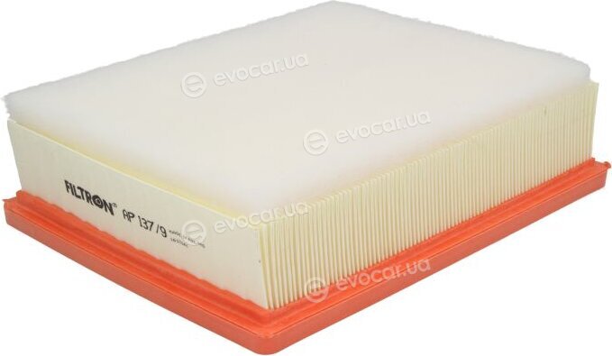 Filtron AP 137/9
