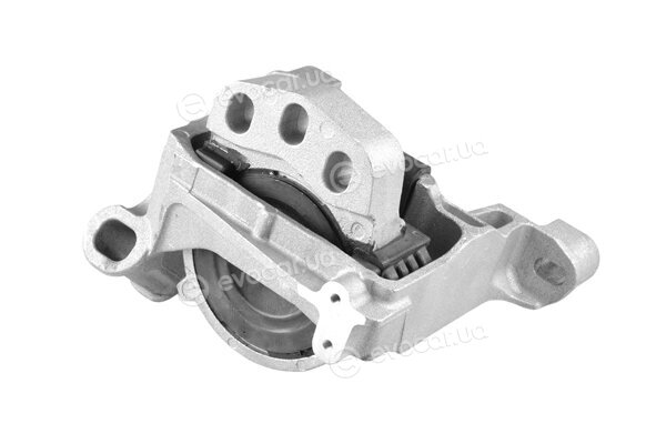 Tedgum TED54109